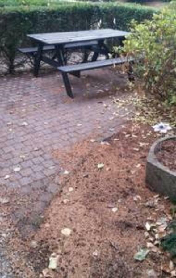 Appartement De Groote Peel Nederweert المظهر الخارجي الصورة